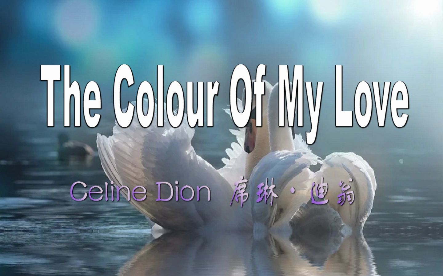 [图]歌曲推荐 | 席琳·迪翁演唱一首经典情歌《The Colour Of My Love》