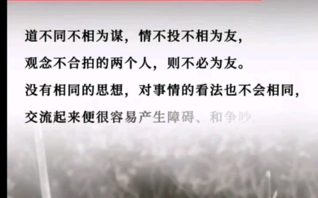 【情感】志同道合之于朋友,情投意合之于婚姻是多么的重要!?哔哩哔哩bilibili