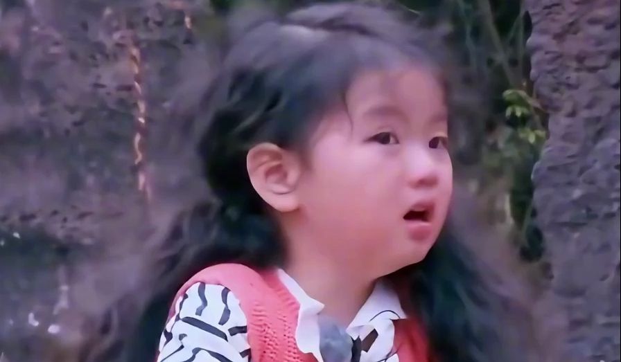 四岁出道小童星,百万年薪拿来养弟弟?阿拉蕾如今过得怎样了?