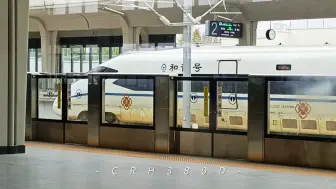 Download Video: CRH380D型动车组，来源于庞巴迪zefiro技术平台。目前配属于上海局和成都局