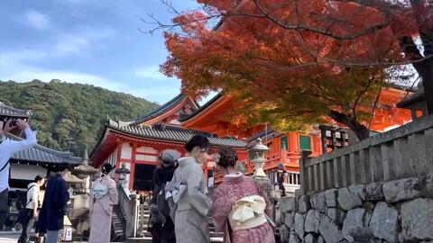 Vlog 京都清水寺 红叶季 哔哩哔哩 Bilibili