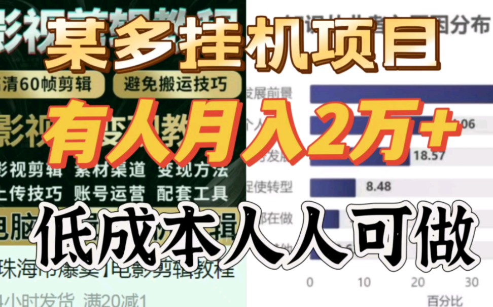 某多挂机项目,有人月入2万+,项目玩法揭秘哔哩哔哩bilibili