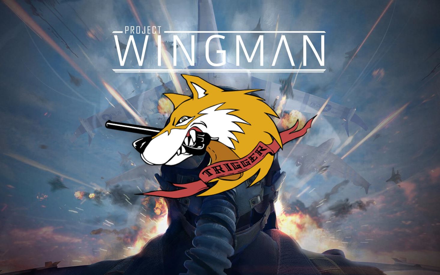 【僚机计划 x 皇牌空战7】strider 1 - trigger vs crimson 1 - 深红