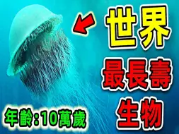 下载视频: 全世界最长寿的10种生物，乌龟只能排第7，第一名年龄超过10万岁，99%人不知道的长寿秘诀_世界之最Top