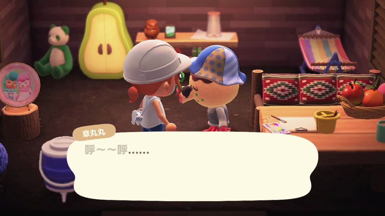 【动物之森】怎么都叫不醒的章丸丸