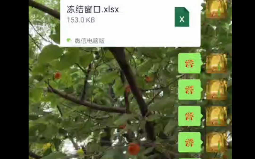 冻结窗口操作流哔哩哔哩bilibili