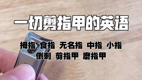一切剪指甲的英语 剪指甲磨指甲倒刺小指中指无名指食指拇指 哔哩哔哩 Bilibili