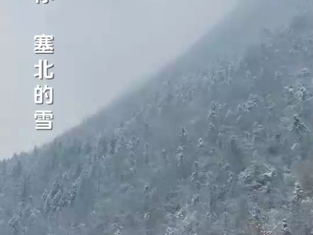 我爱你,塞北的雪.音乐视频哔哩哔哩bilibili