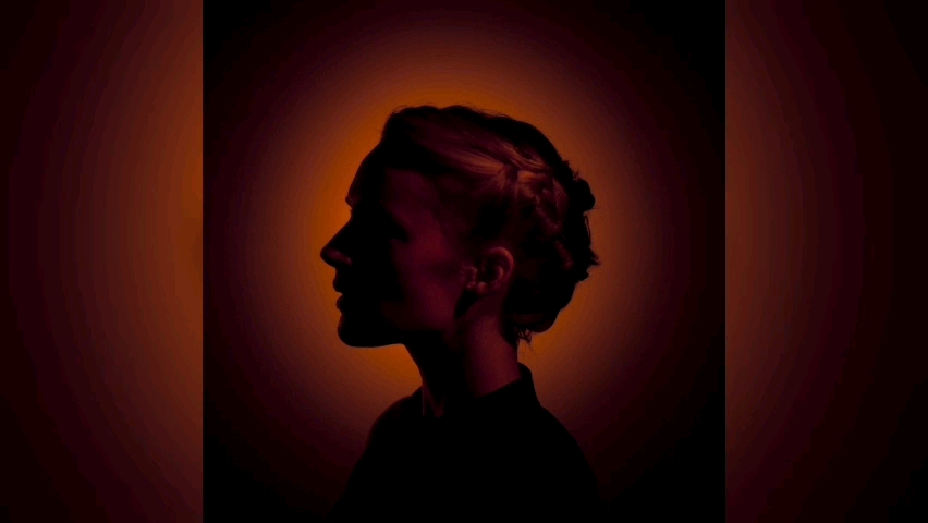 [图]Agnes Obel - The Curse