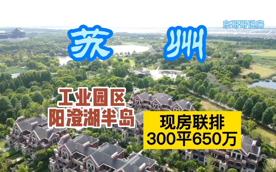 苏州工业园区阳澄湖半岛,现房不限购联排别墅,建面300平!哔哩哔哩bilibili