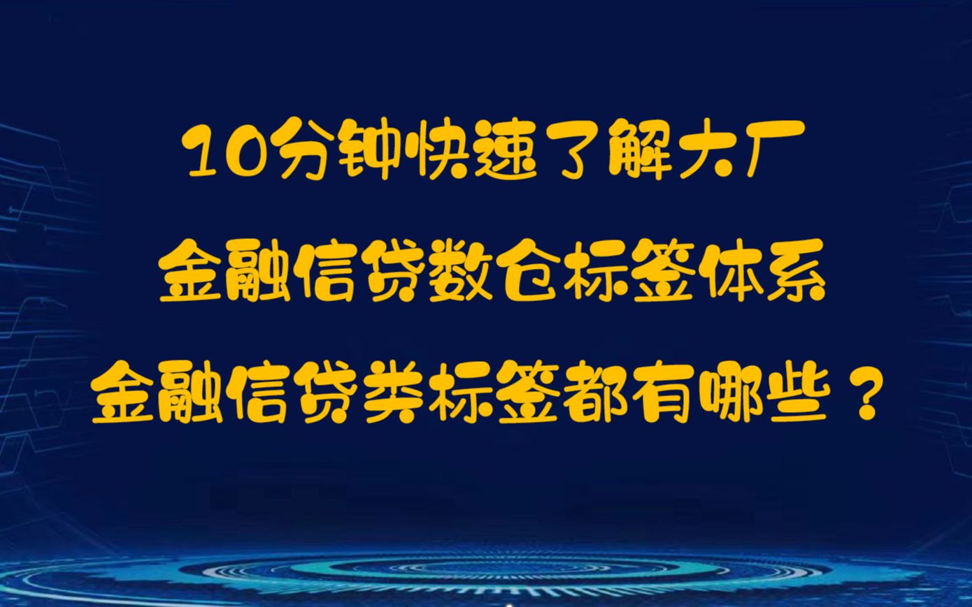 快速入门大厂金融信贷业务标签体系,金融信贷都有哪些标签?哔哩哔哩bilibili