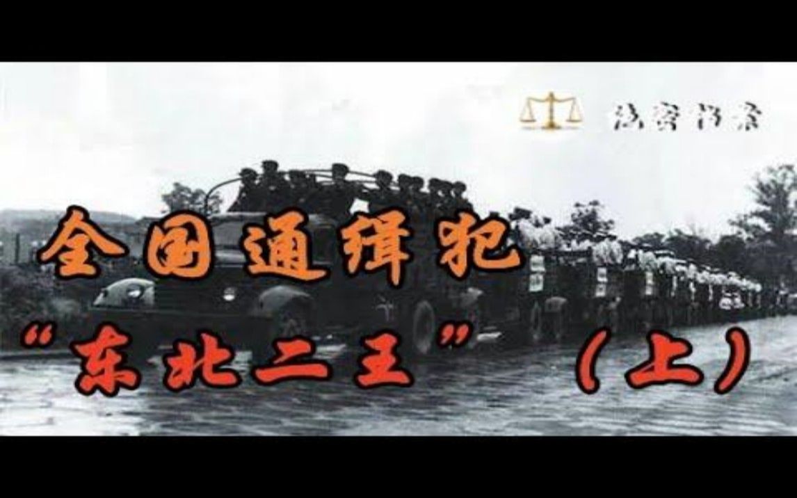 1983年“东北二王”特大案(上),公安部在全国通缉追捕哔哩哔哩bilibili