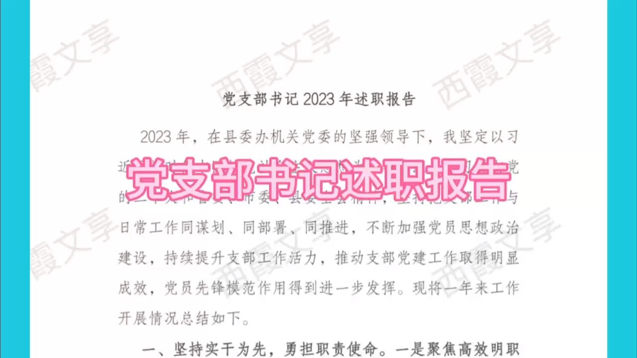 党支部书记2023年述职报告哔哩哔哩bilibili