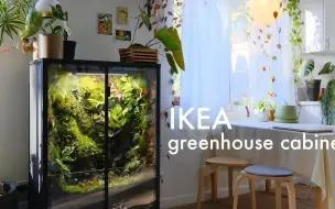 Download Video: 水陆箱近况更新！Benji布置的小景观越来越好看了|IKEA greenhouse cabinet  growth update and tour