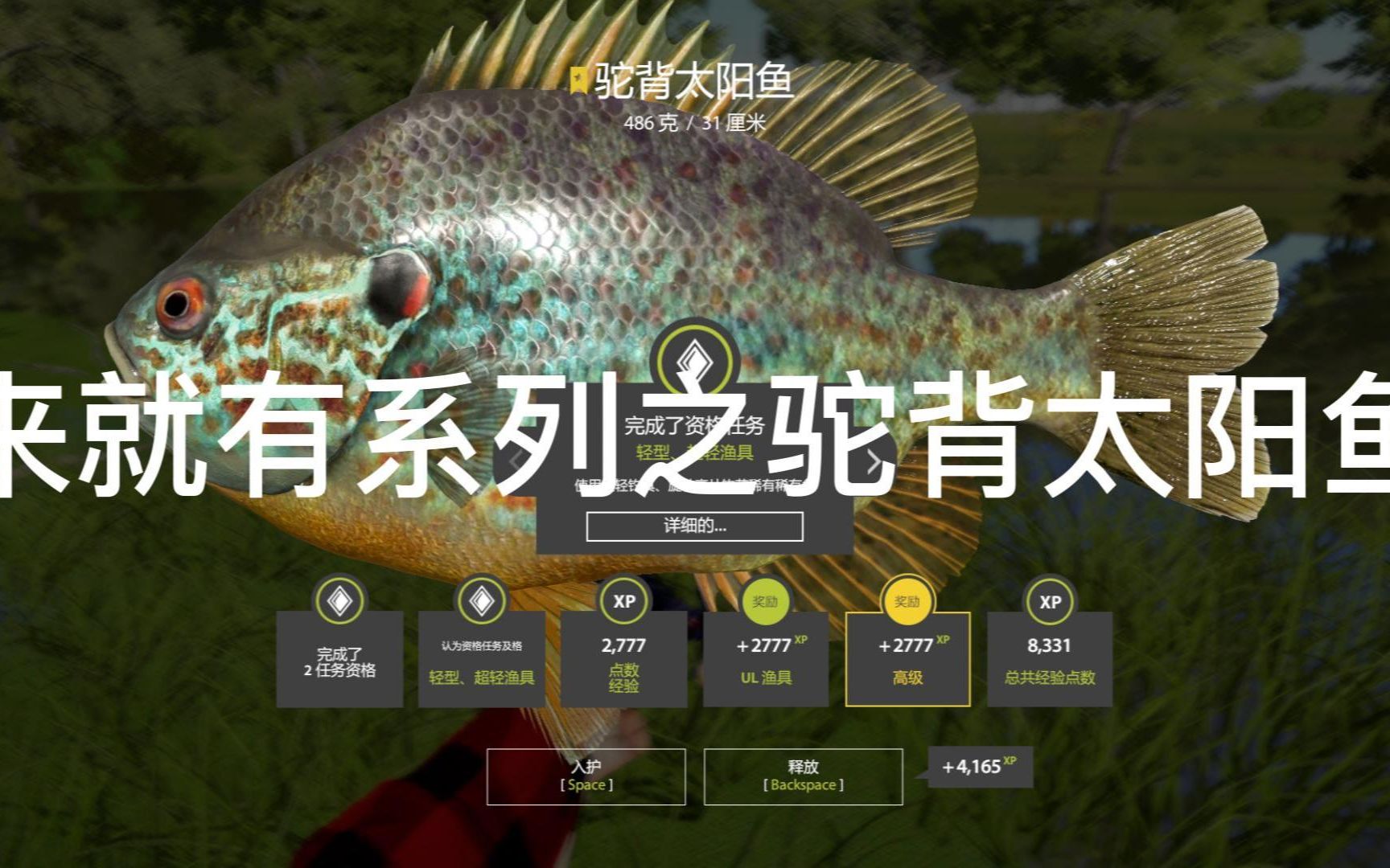 俄羅斯釣魚4來就有之星星太陽魚