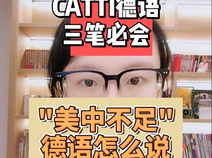 CATTI 德语三级笔译必会:美中不足德语怎么说哔哩哔哩bilibili