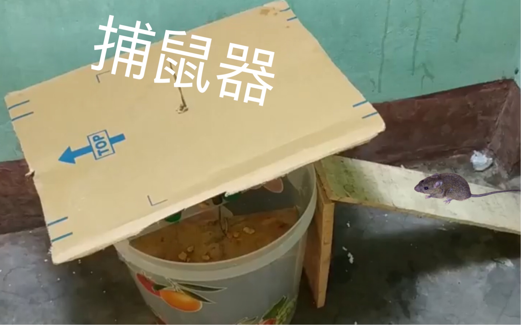 家中有老鼠,小伙自制捕鼠器,简单实用