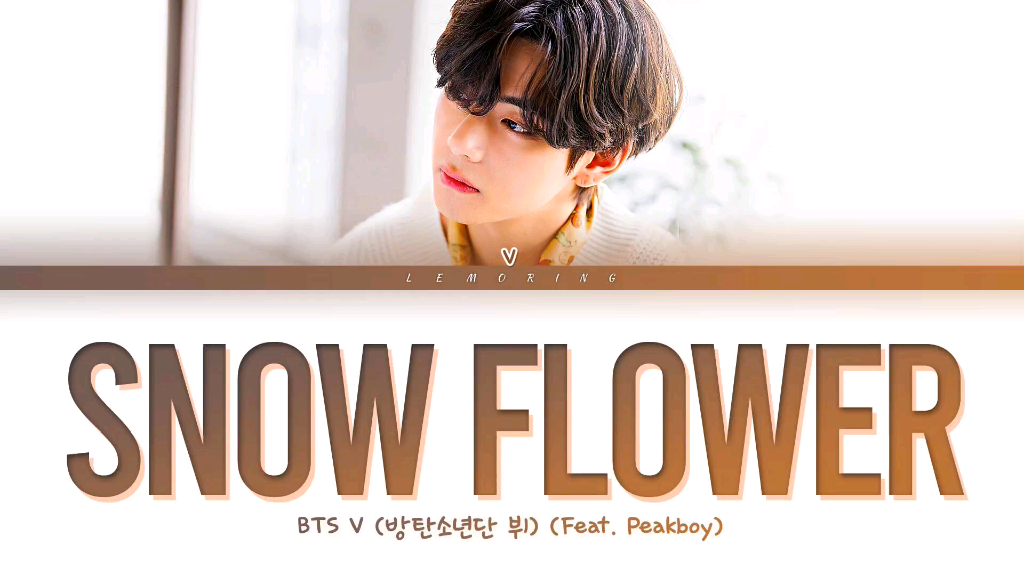 【金泰亨】自作曲snow flower feat.peakboy(中字)