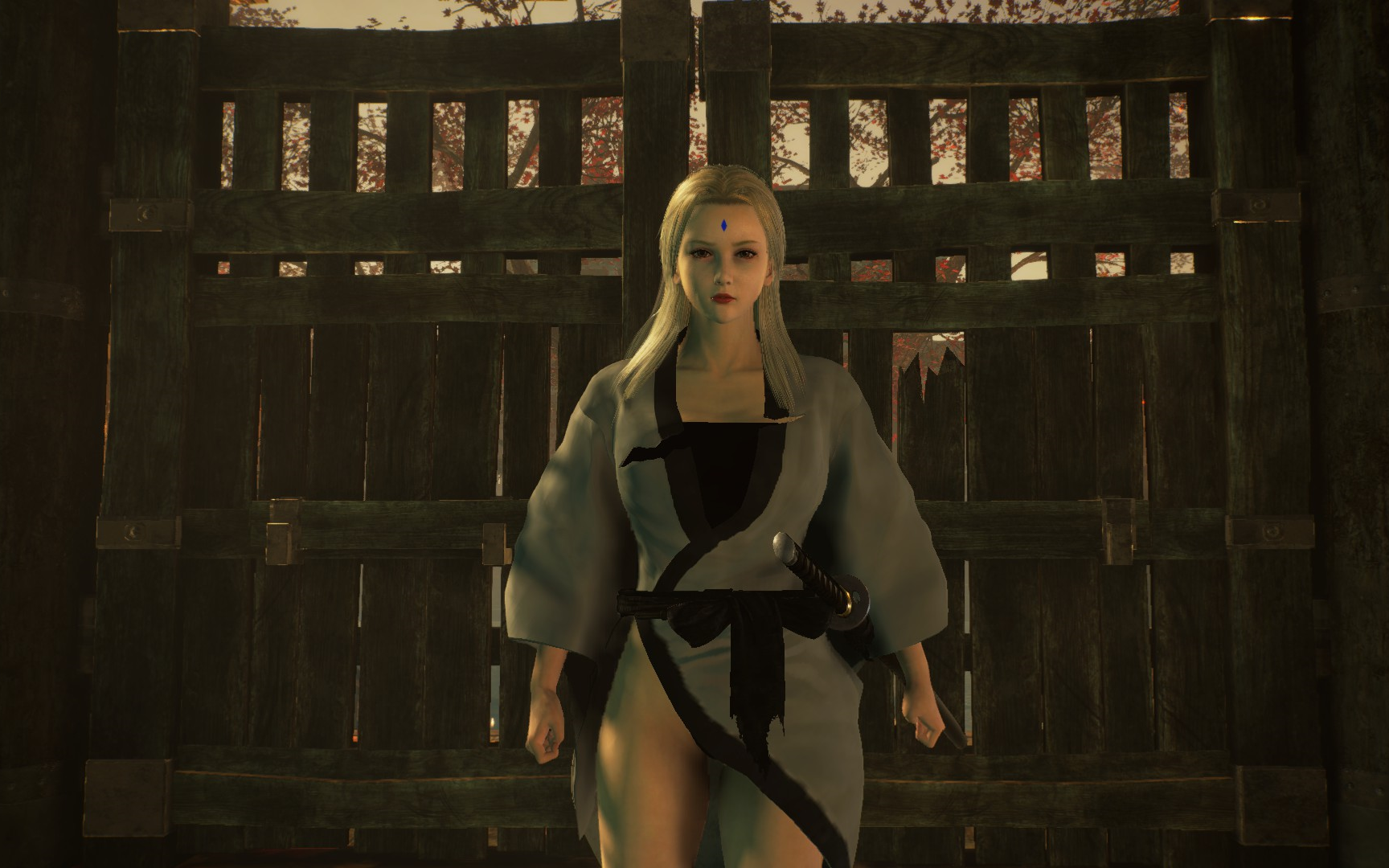 仁王2mod白色剑豪装更新