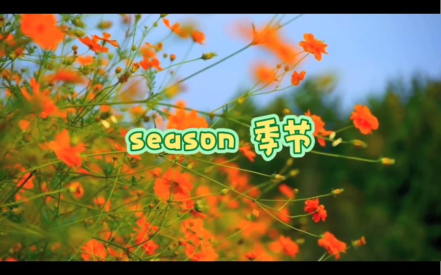 英语说词解字season哔哩哔哩bilibili