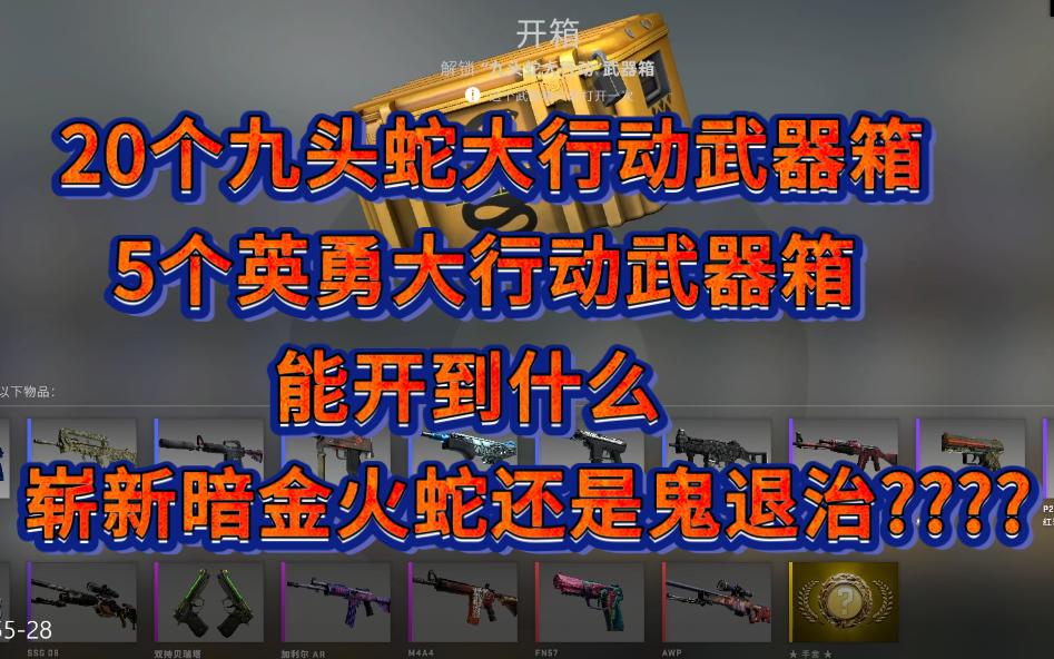 20个九头蛇和5个英勇大行动武器箱能开出什么