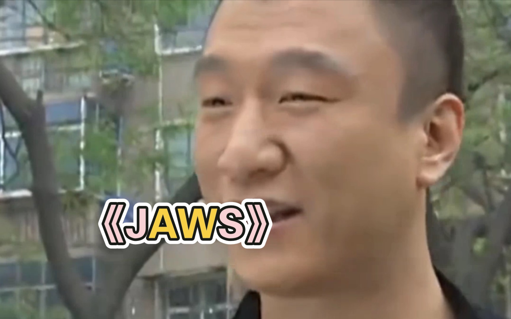 [图]【刘华强】《JAWS》