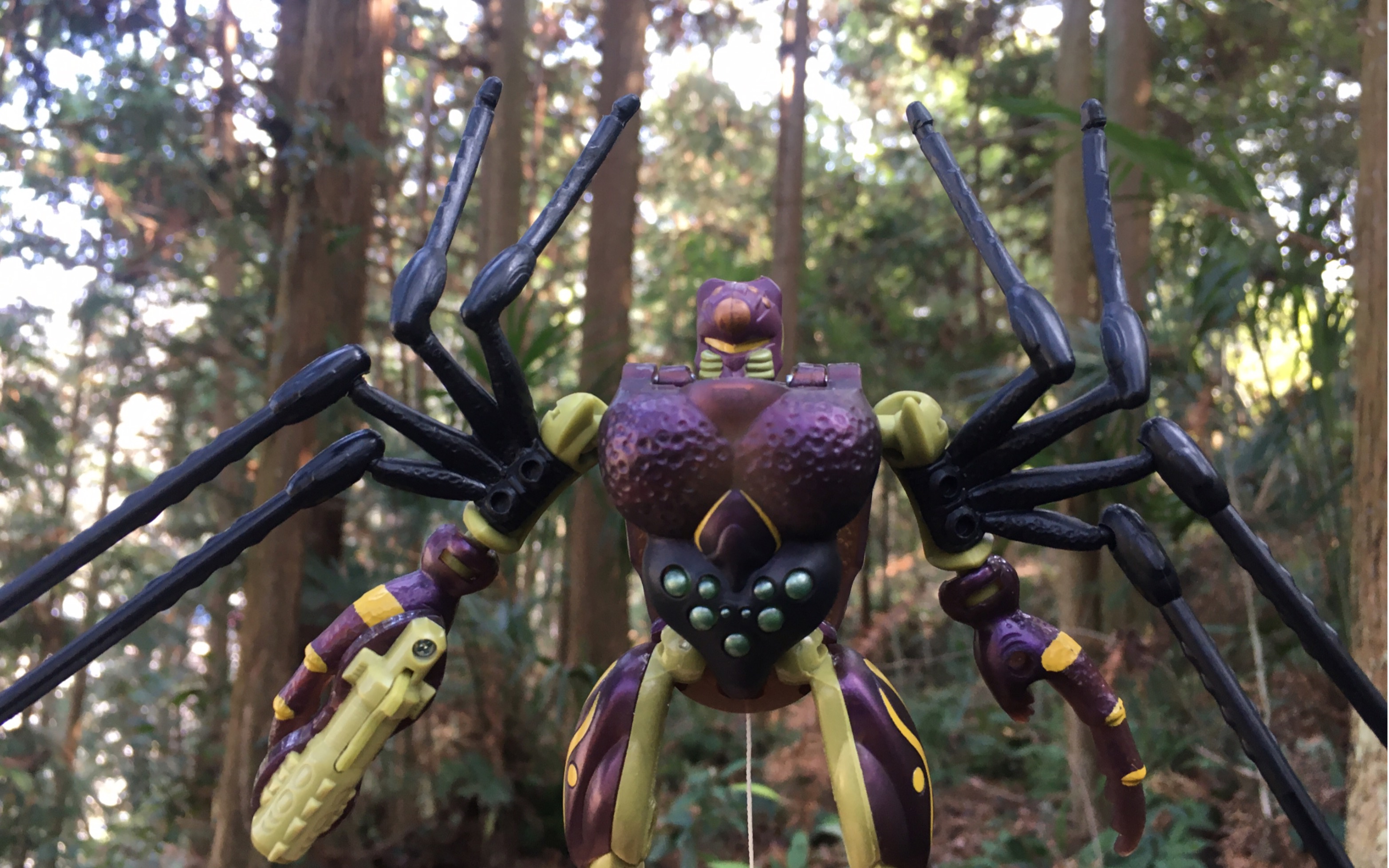 bw超能勇士十周年狼蛛