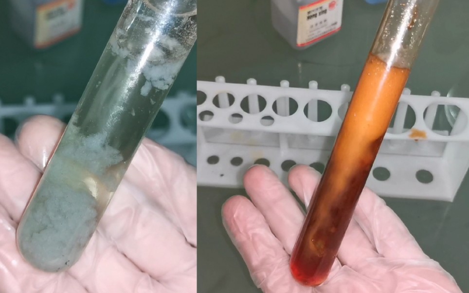 洁白而又转瞬即逝的美丽——氢氧化亚铁的制备.