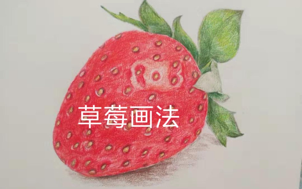 【彩铅画】草莓画法教程哔哩哔哩bilibili