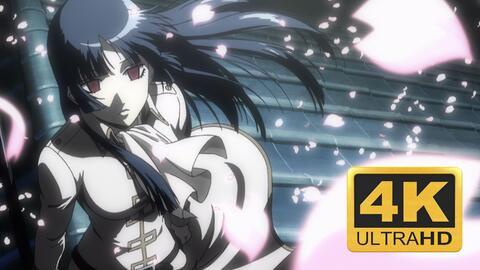 搜索 哔哩哔哩 つロ 干杯 Bilibili