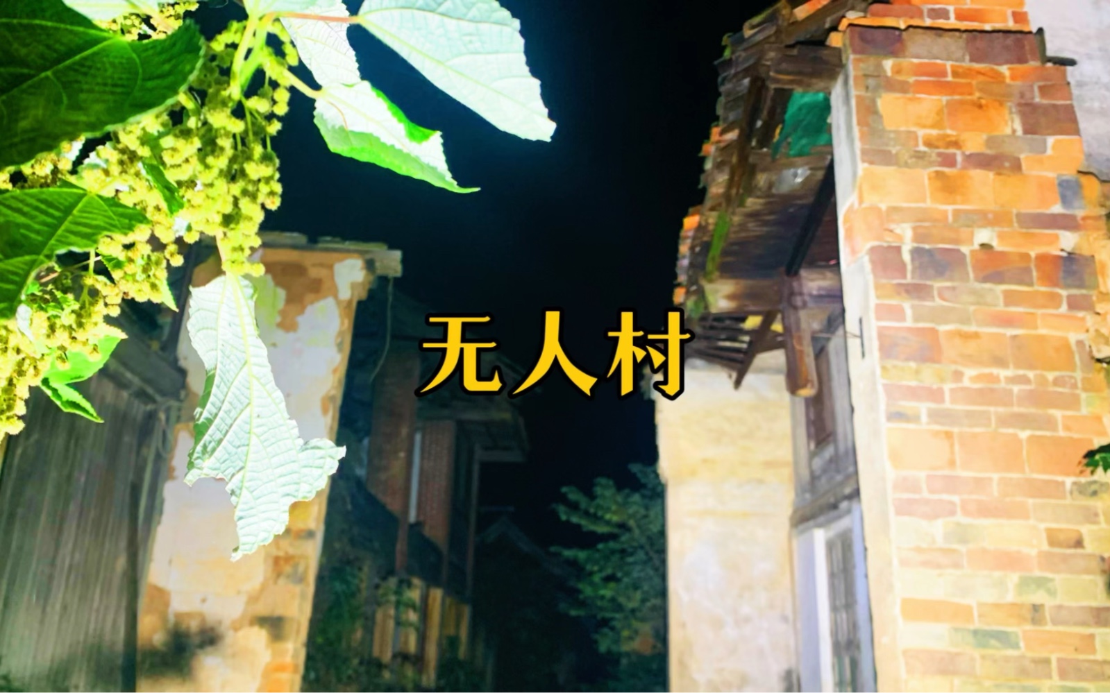 月夜探访百年无人村,曾经商贾云集,全是深宅大院.哔哩哔哩bilibili