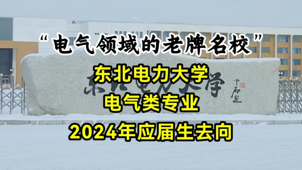 “不愧是电气领域的老牌名校”,东北电力大学,2024年毕业的6个电气男生,4个进了电网哔哩哔哩bilibili