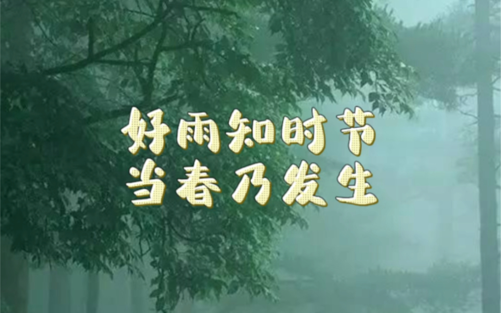 “好雨知时节,当春乃发生.”普普通通的一场春雨为何让诗人如此称颂,“锦官城”又是哪里?走进诗词背后的故事.哔哩哔哩bilibili