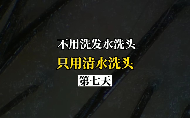 不用洗发水洗头,只用清水洗头第七天,头不油了,也蓬松了哔哩哔哩bilibili