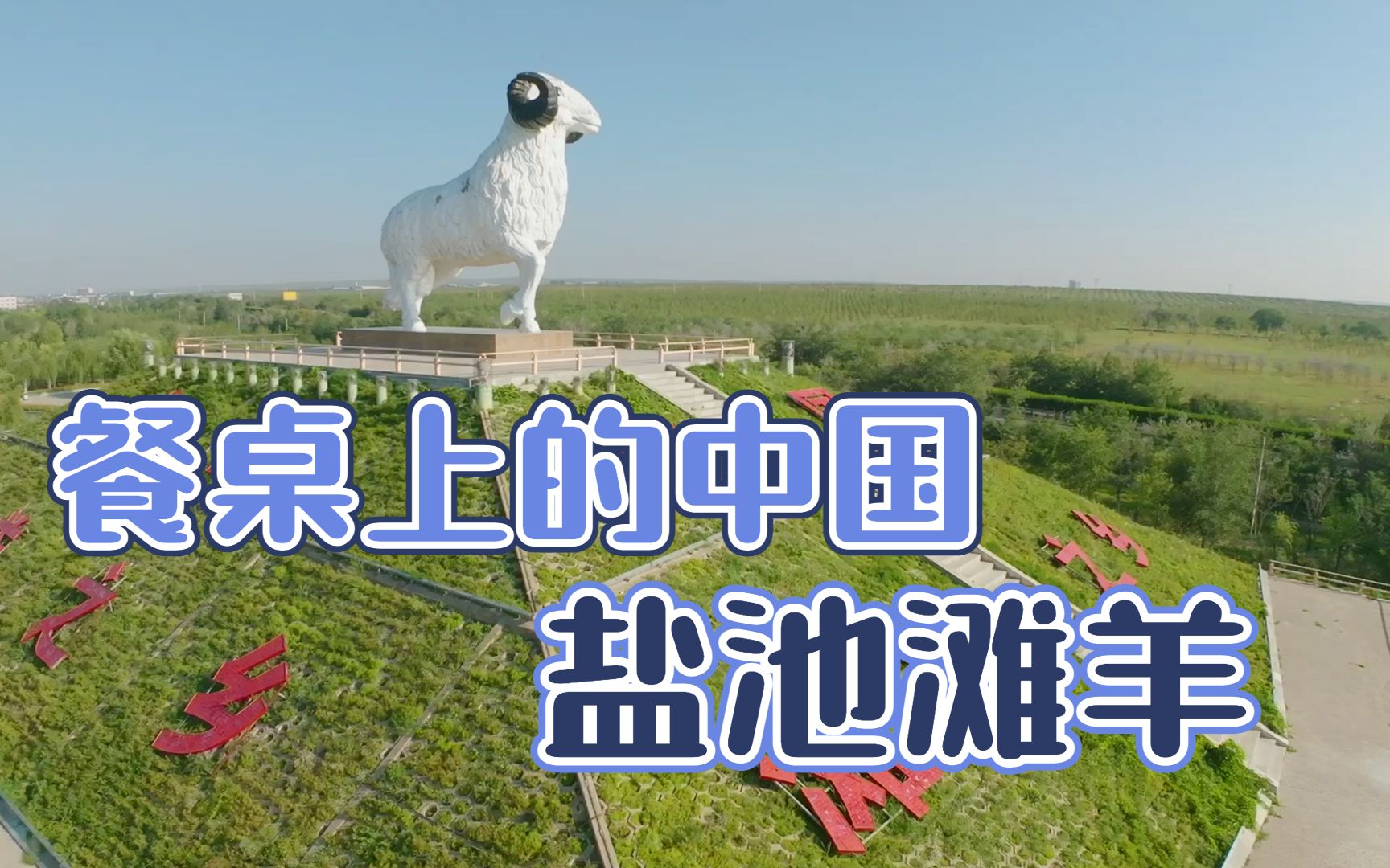 餐桌上的中国:盐池滩羊