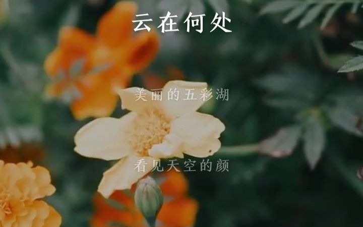 [图]杉和的《五彩湖》，原来还能这样唱？听听全民K歌上斯子格古的神仙翻唱！