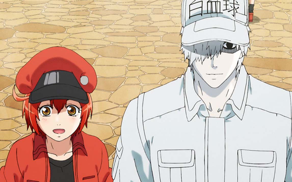 工作细胞中配版再发先行预告护妻狂魔白哥即将上线