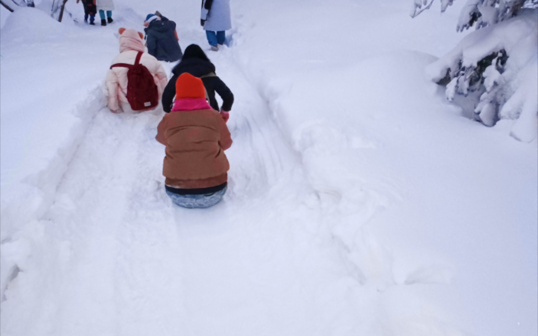 [图]雪谷打卡必选，高山之巅，体验雾凇岭， 客人体验，原始滑雪，滑雪圈，自驾雪地摩托，乘坐雪地龙舟，真是爱雪者天堂