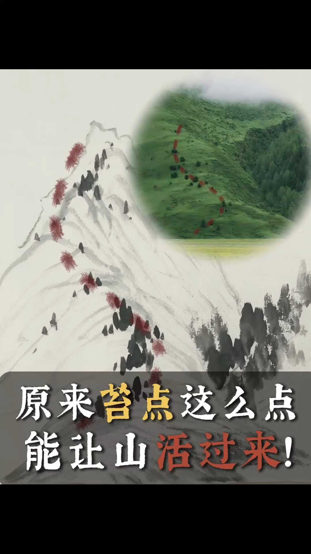 原来苔点这么点，能让山活过来！