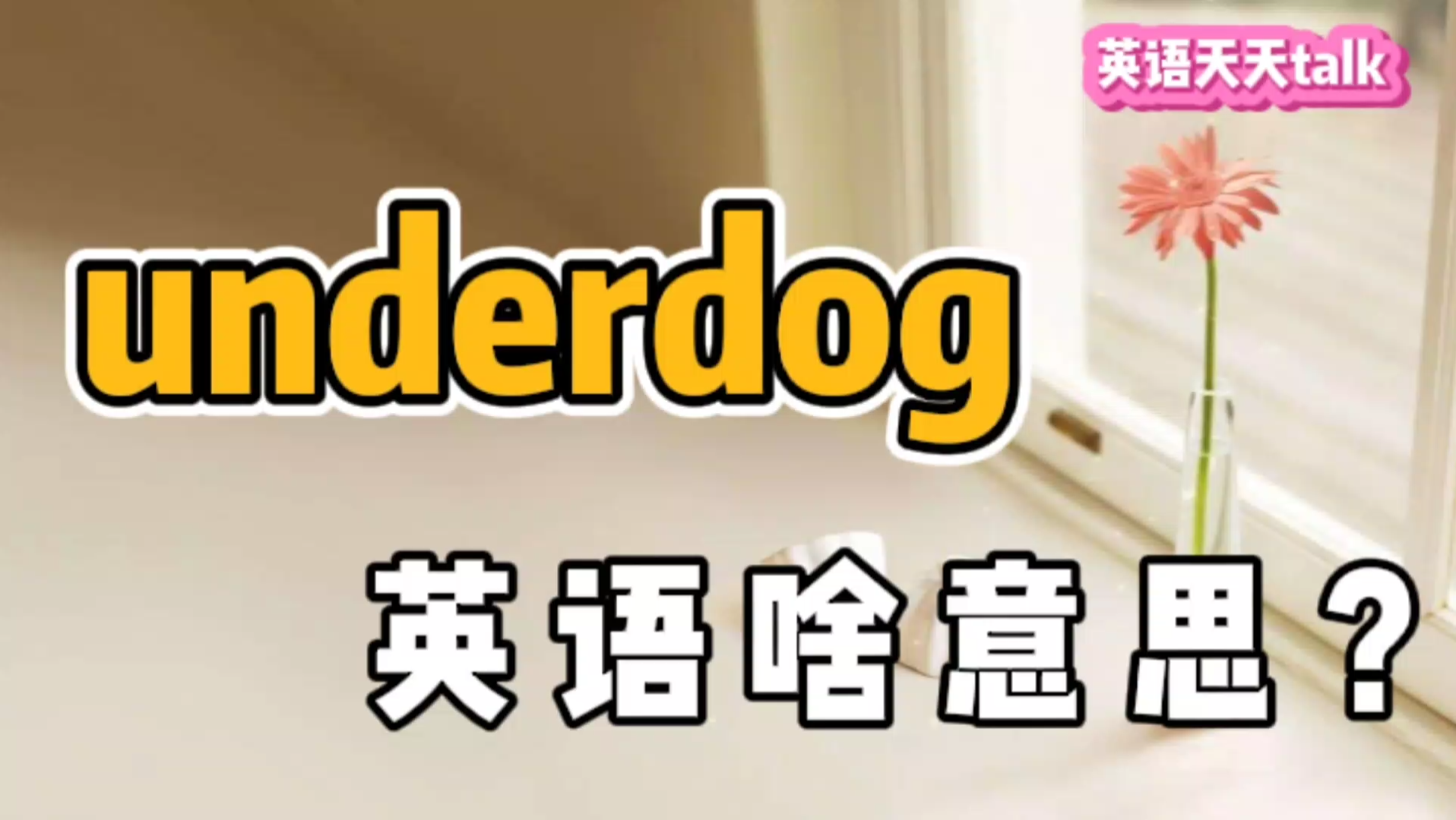 under是“在下面”,dog是“狗”,那“underdog”啥意思呢?哔哩哔哩bilibili