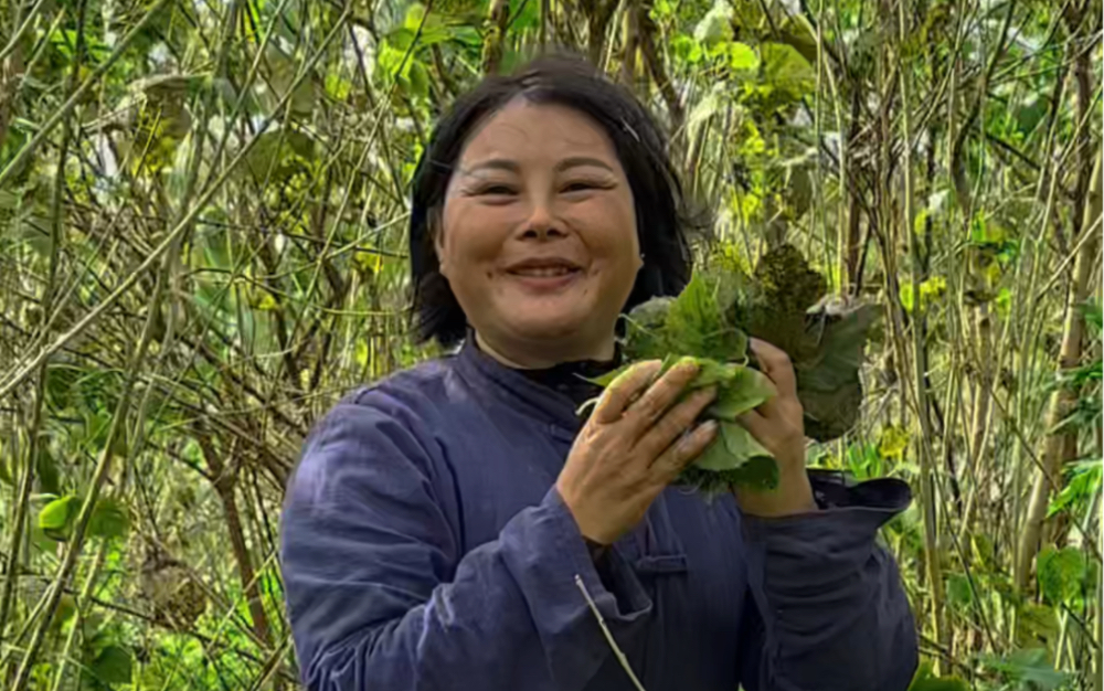 万物皆可茶,秋天的这片落叶可别浪费了.霜桑叶是个好东西,简单制作分享.#大山里的原生态 #我的乡村生活 #霜桑叶哔哩哔哩bilibili