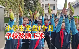 Download Video: 小学生光盘1个月学校奖励玉米：希望孩子们养成勤俭节约的习惯