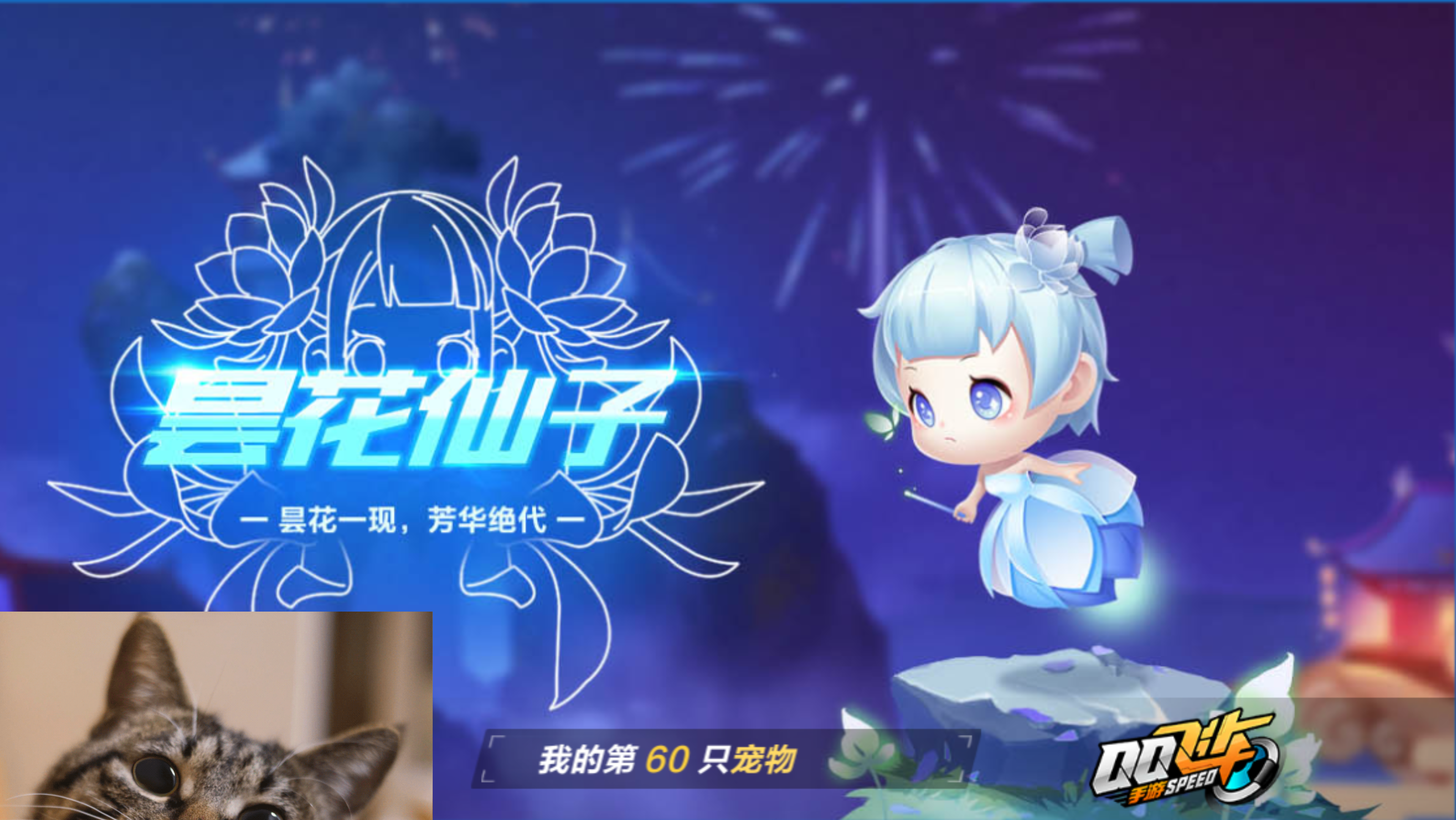 qq飞车手游——究竟是不是花瓶?昙花仙子二技能属性道具简单分析评测