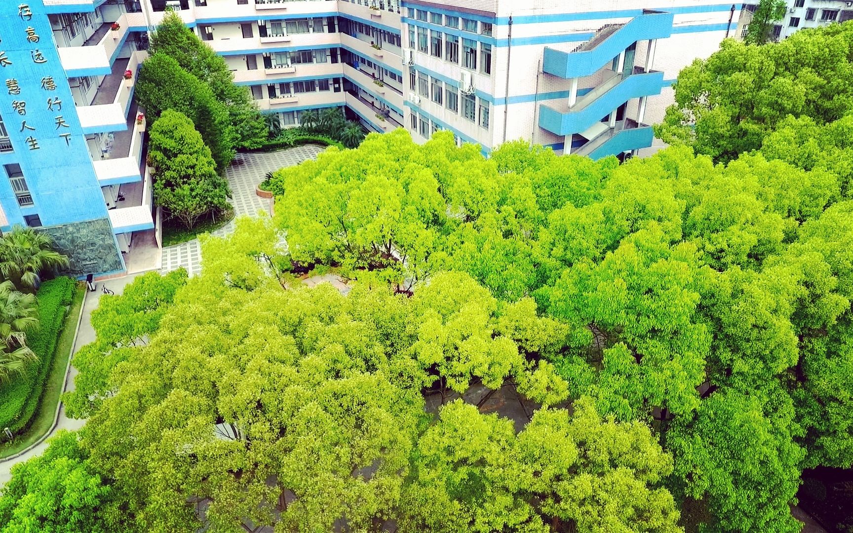 航拍瑞安五中 混剪