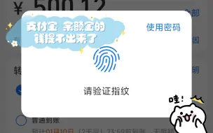 支付宝 余额宝的钱提不出来了