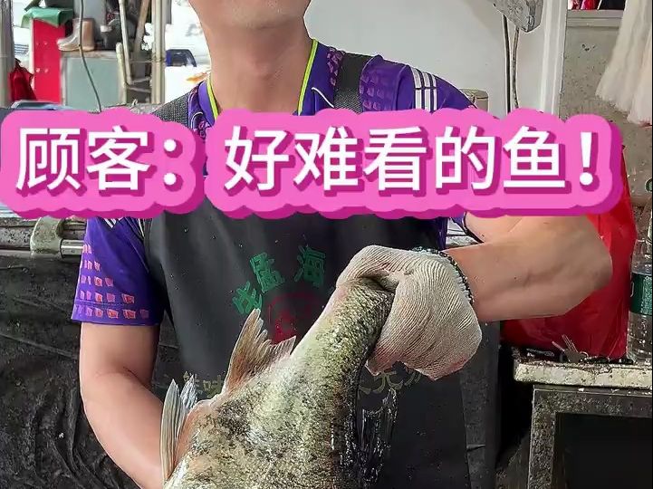 被客人说这条鱼好难看,那是因为他不知道这鱼的肉非常嫩滑哔哩哔哩bilibili