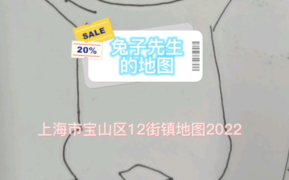 【上海市】【宝山区】【2022】上海市宝山区12街镇地图哔哩哔哩bilibili