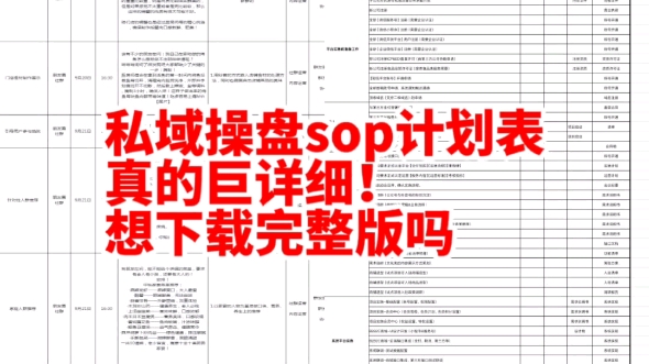 私域流量社群操盘运营sop计划方案模板哔哩哔哩bilibili