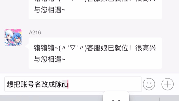 当你和客服说想把名字改成陈睿哔哩哔哩bilibili