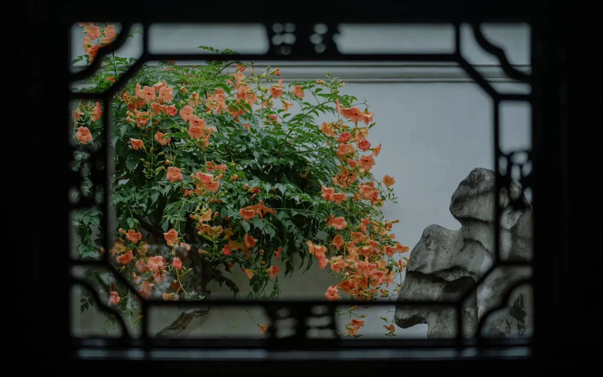 [图]【学习氛围歌单】在江南小楼落宿时下雨了 | 雨声白噪音 | 古风纯音乐 | 一起自习吧